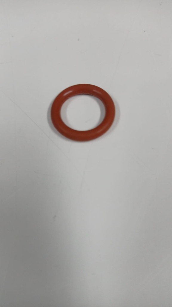 JUNTA TOMATERA TOMMY