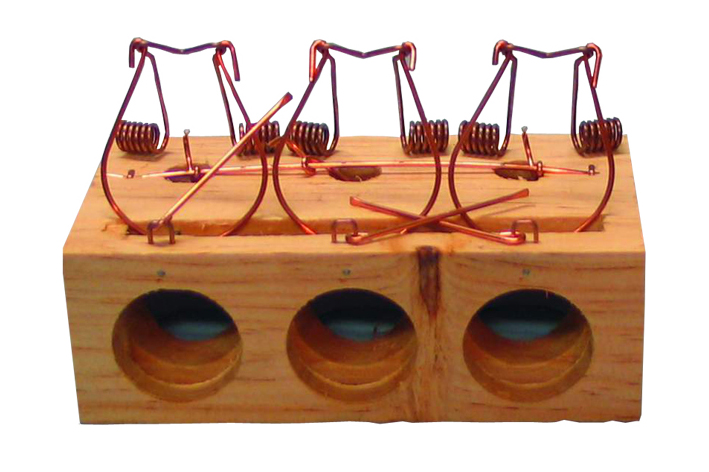 RATONERA MADERA 3 AGUJEROS